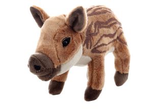 Obrázek z Divočák mládě plyš 20cm (6) 